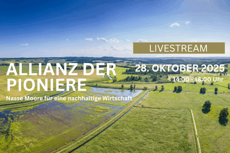 Livestream der Jahresveranstaltung Allianz der Pioniere / toMOORow