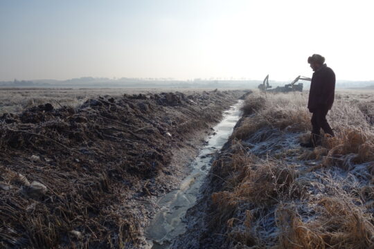 An der Sernitz rollen die Bagger: toMOORow Wiedervernässung geht voran